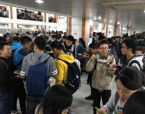 高峰食堂爆料视频大全集,揭秘校园美食风云录